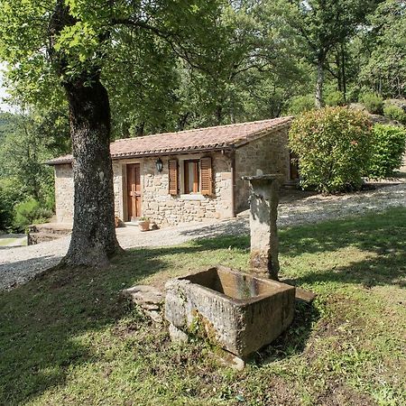 Casa Rancacci Guest House Mercatale  Exterior photo